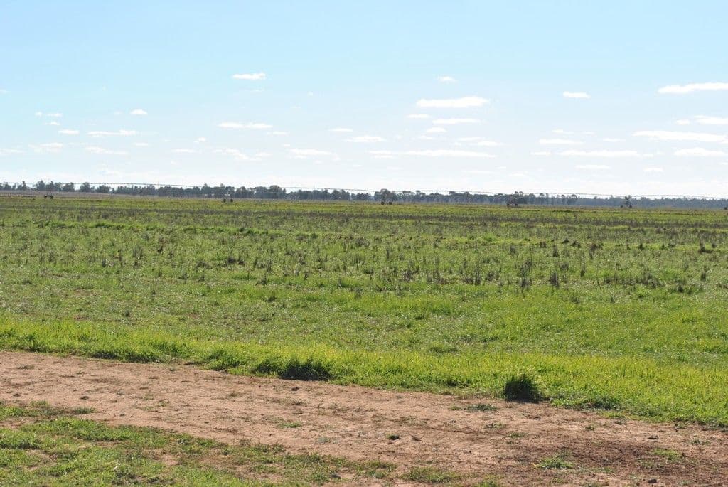 Part 'Koonwarra', Sturt Highway, DARLINGTON POINT NSW 2706, Darlington Point - Thumbnail 4