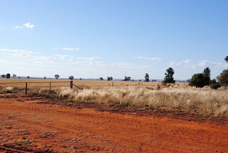 "The Plains" (Cruickshanks), MONIA GAP NSW 2675, Monia Gap - Thumbnail 6
