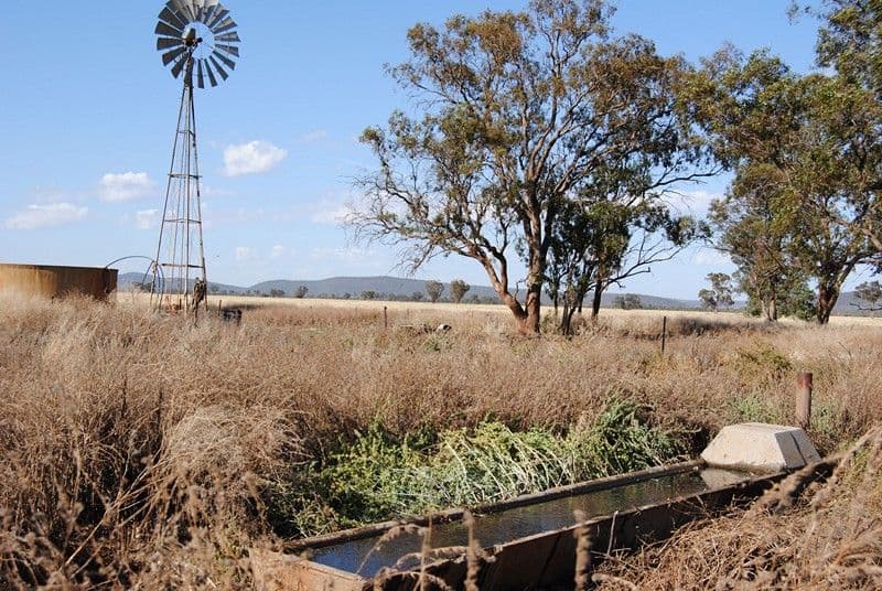 "The Plains" (Cruickshanks), MONIA GAP NSW 2675, Monia Gap - Thumbnail 5