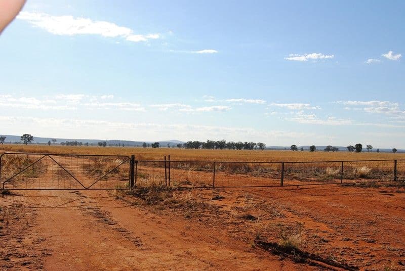 "The Plains" (Cruickshanks), MONIA GAP NSW 2675, Monia Gap - Thumbnail 7
