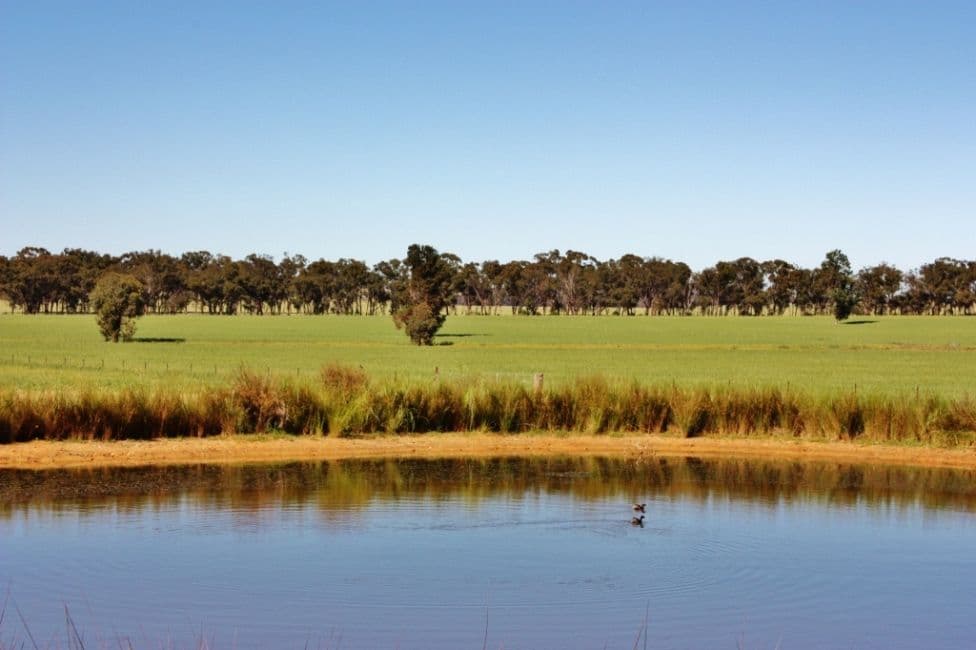 76 Trevethin Road, ILLABO NSW 2590, Illabo - Thumbnail 8