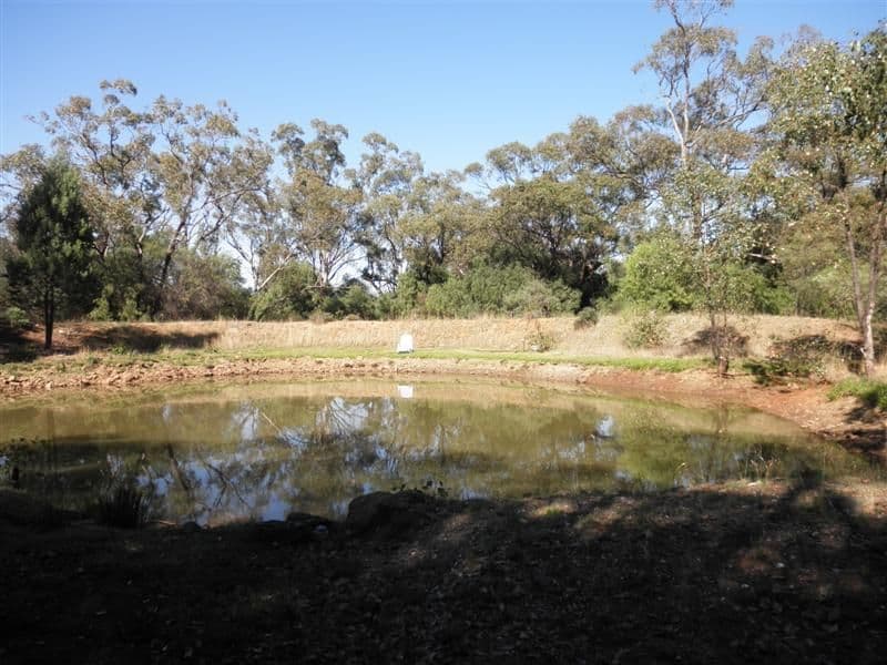 93 Orange Lane, TOTTENHAM NSW 2873, Tottenham - Thumbnail 8
