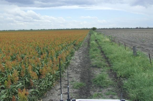 TULLOONA NSW 2400, Tulloona - Thumbnail 3