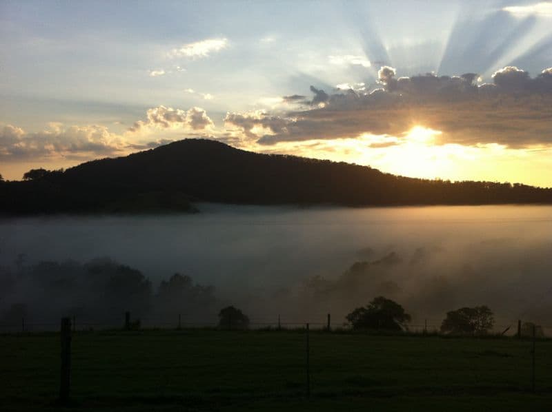 WINGHAM NSW 2429, Wingham - Thumbnail 2