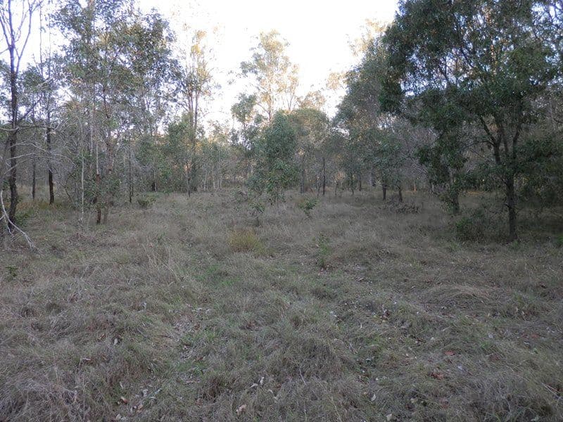 Lot 248 James Road, PINE MOUNTAIN QLD 4306, Pine Mountain - Thumbnail 5