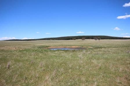 Lot 2 Dog Rocks Road, BLACK SPRINGS NSW 2787, Black Springs - Thumbnail 4