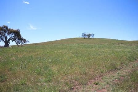 Lot 2 Dog Rocks Road, BLACK SPRINGS NSW 2787, Black Springs - Thumbnail 8