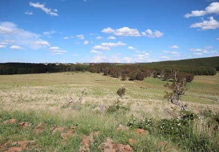 Lot 6 Dog Rocks Road, BLACK SPRINGS NSW 2787, Black Springs - Thumbnail 7