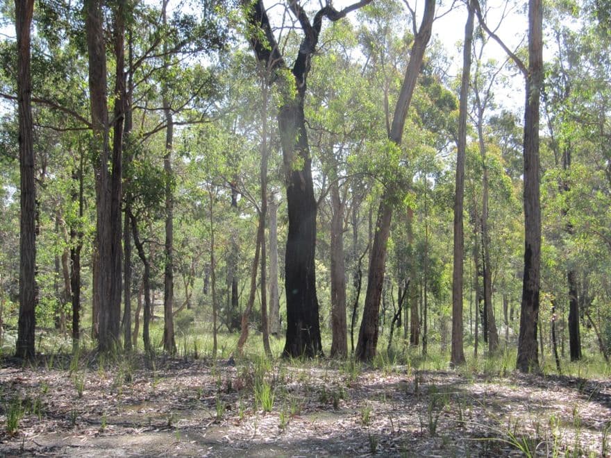 CA55 Blues Road, STOCKDALE VIC 3862, Stockdale - Thumbnail 5