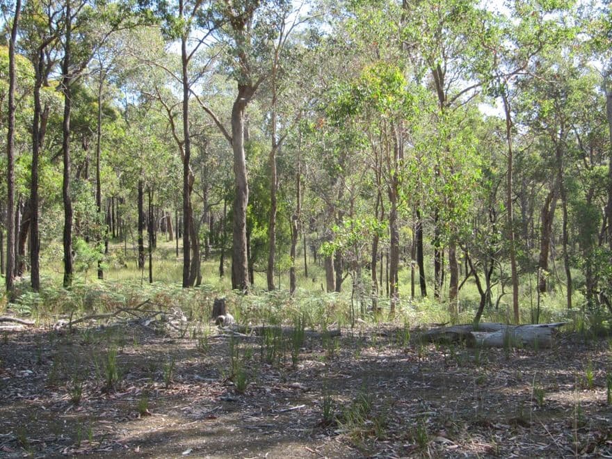CA55 Blues Road, STOCKDALE VIC 3862, Stockdale - Thumbnail 4