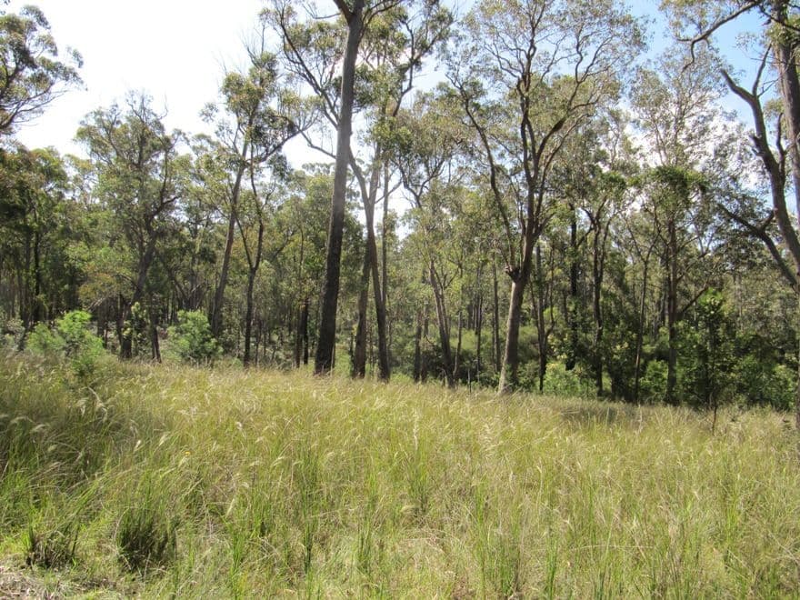 CA55 Blues Road, STOCKDALE VIC 3862, Stockdale - Thumbnail 3