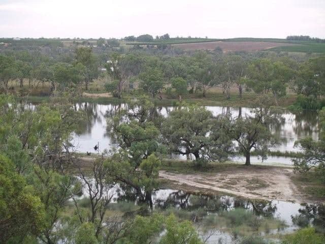 817 Murrayview Road, WAIKERIE SA 5330, Waikerie - Image 1
