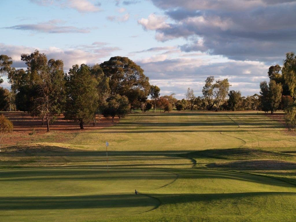 22 Dunlop Road, WAIKERIE SA 5330, Waikerie - Thumbnail 3