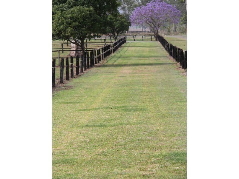 7748 Mt Lindesay Highway, BEAUDESERT QLD 4285, Beaudesert - Thumbnail 5
