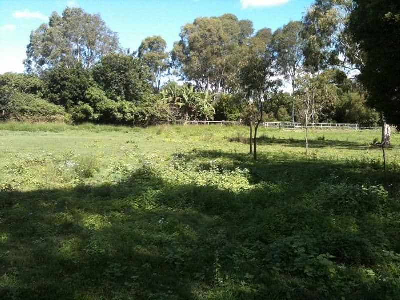 170 Camelot Place, BRIDGEMAN DOWNS QLD 4035, Bridgeman Downs - Image 1