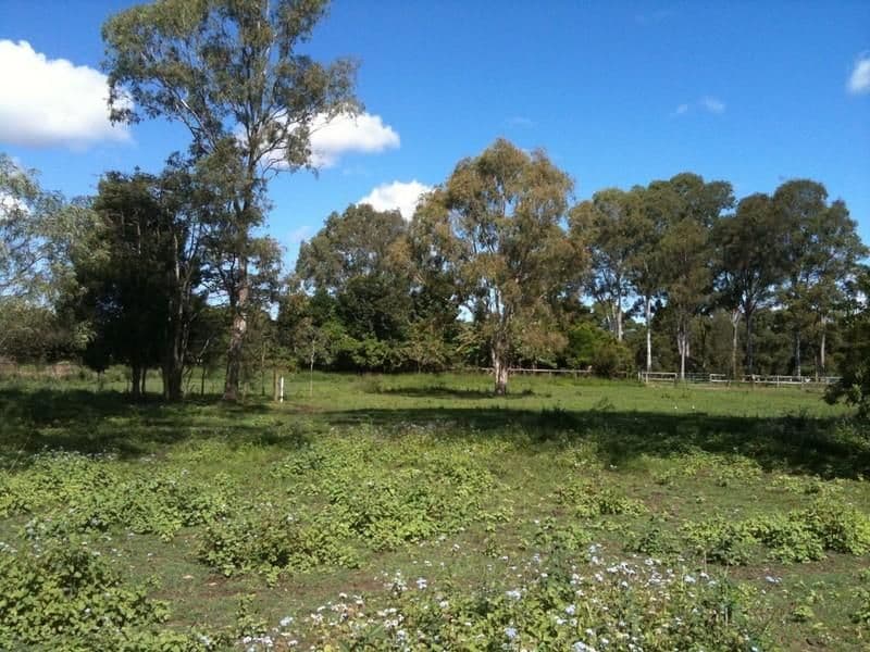 170 Camelot Place, BRIDGEMAN DOWNS QLD 4035, Bridgeman Downs - Thumbnail 3