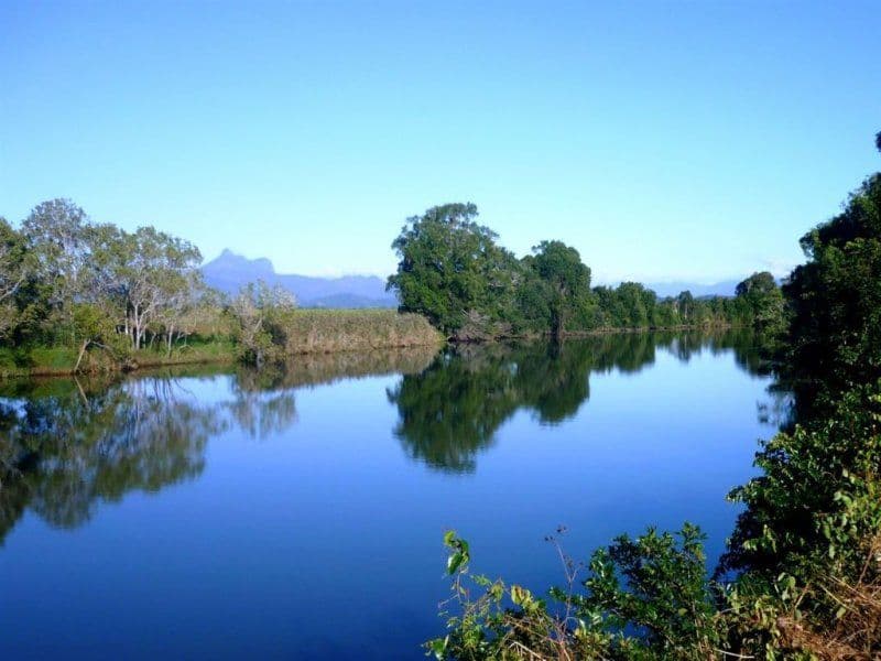 480 Dulguigan Road, MURWILLUMBAH NSW 2484, Murwillumbah - Image 1