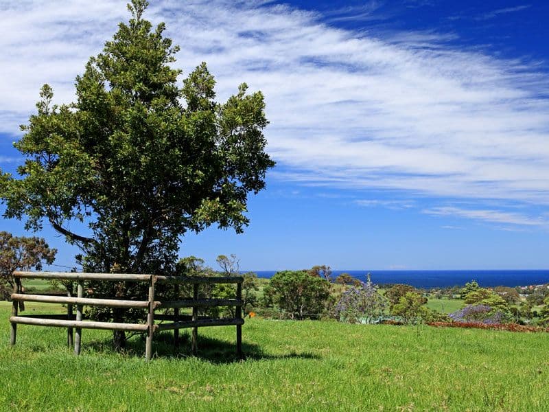 221 Willowvale Road, GERRINGONG NSW 2534, Gerringong - Thumbnail 2