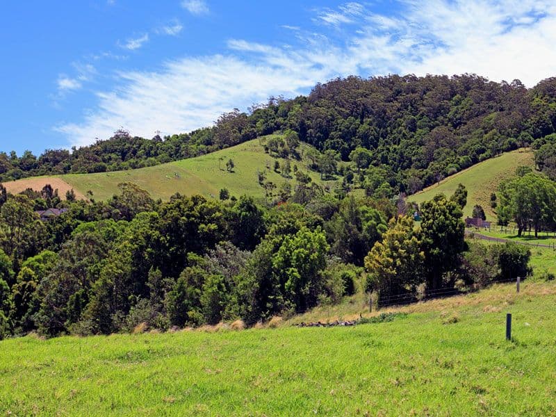 221 Willowvale Road, GERRINGONG NSW 2534, Gerringong - Thumbnail 4