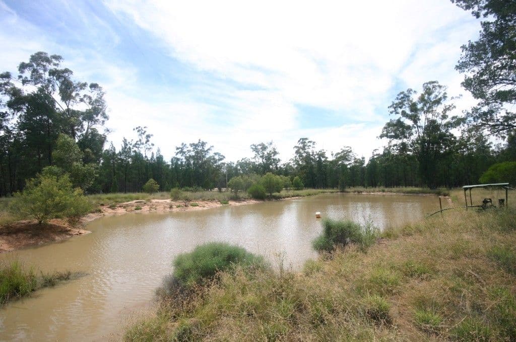 10504 Newell Highway, NARRABRI NSW 2390, Narrabri - Thumbnail 8