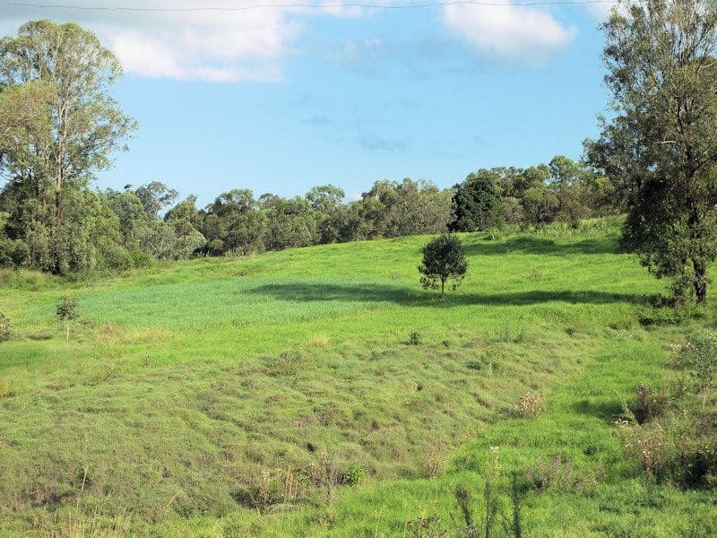 Lot 216, 654 to 750 Millstream Road, CEDAR VALE QLD 4285, Cedar Vale - Thumbnail 4