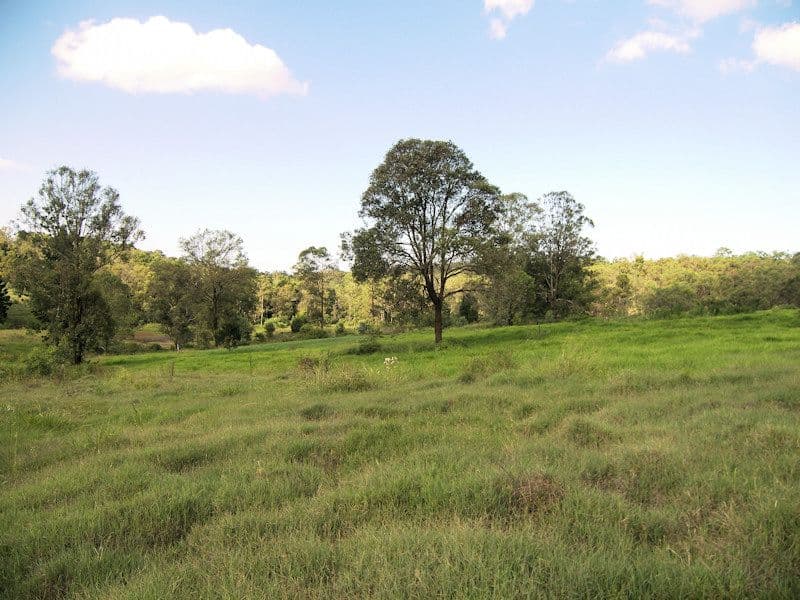 Lot 216, 654 to 750 Millstream Road, CEDAR VALE QLD 4285, Cedar Vale - Thumbnail 5