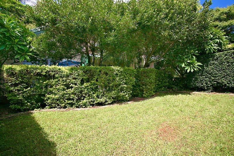 11 Mort Street, PADDINGTON QLD 4064, Paddington - Thumbnail 2