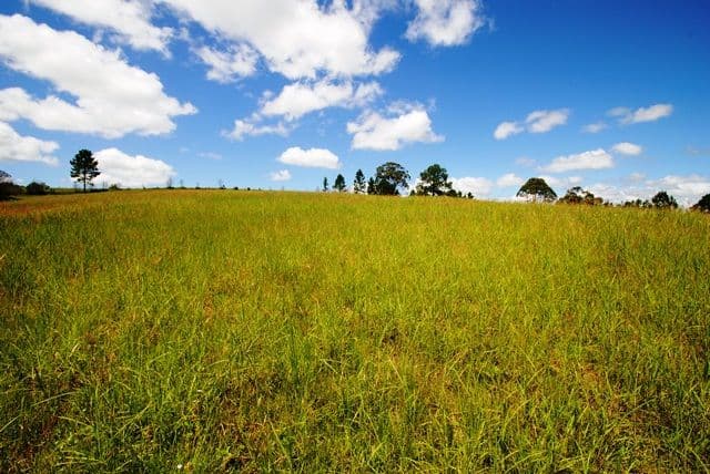 67 TATNELL Road, NORTH DEEP CREEK QLD 4570, North Deep Creek - Thumbnail 3