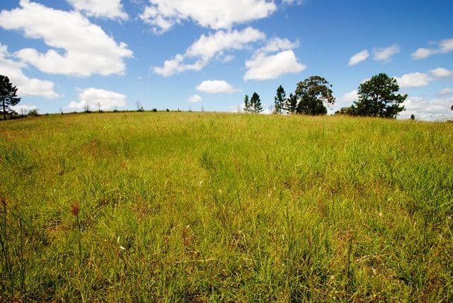 67 TATNELL Road, NORTH DEEP CREEK QLD 4570, North Deep Creek - Thumbnail 8