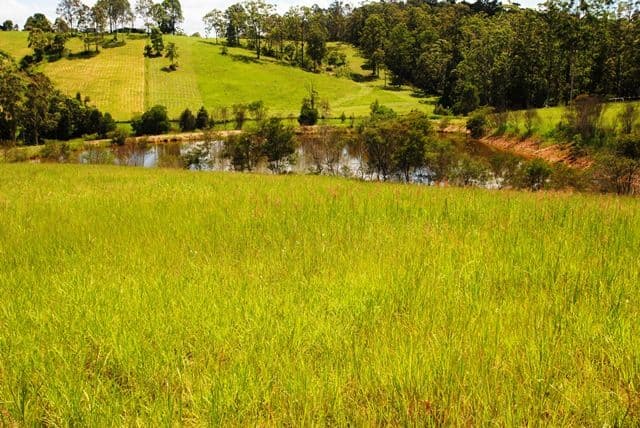 67 TATNELL Road, NORTH DEEP CREEK QLD 4570, North Deep Creek - Thumbnail 2
