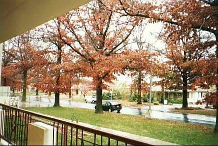 16/38 Torrens Street,, BRADDON ACT 2612, Braddon - Thumbnail 3