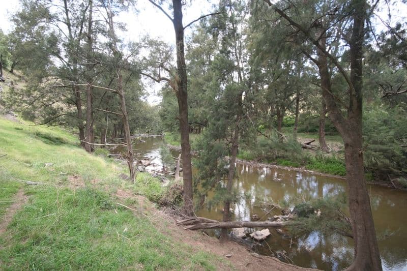 176 Wiannamatta Road, CANOWINDRA NSW 2804, Canowindra - Image 1