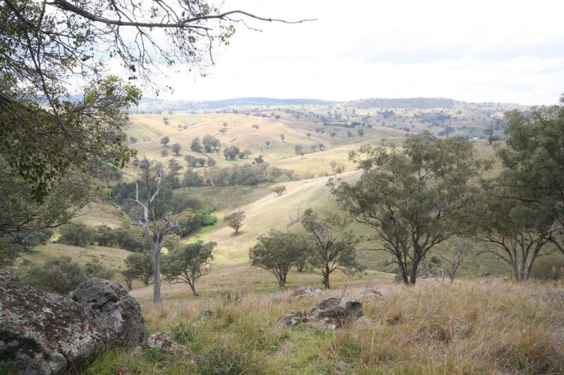 176 Wiannamatta Road, CANOWINDRA NSW 2804, Canowindra - Thumbnail 2