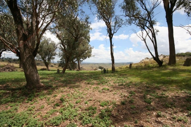 176 Wiannamatta Road, CANOWINDRA NSW 2804, Canowindra - Thumbnail 5