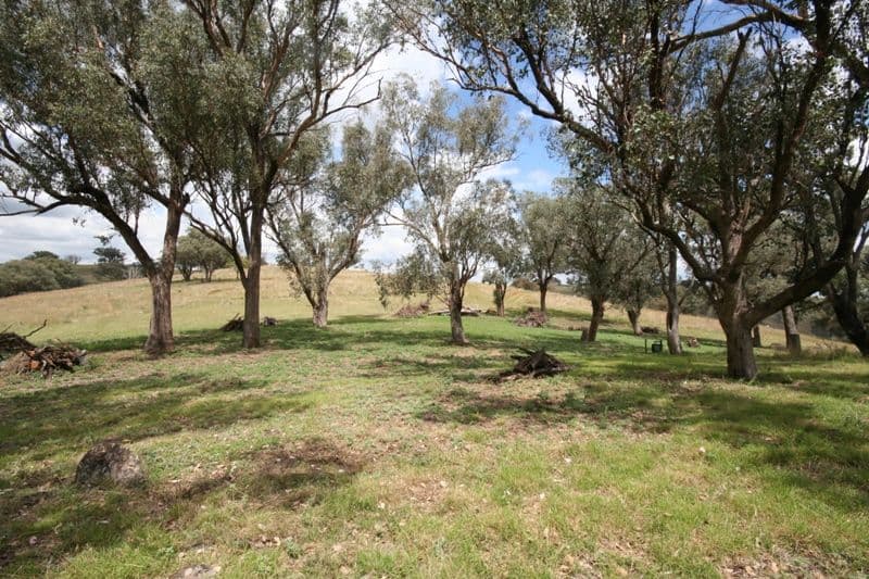 176 Wiannamatta Road, CANOWINDRA NSW 2804, Canowindra - Thumbnail 4