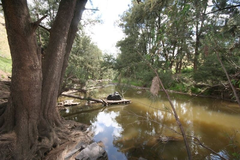 176 Wiannamatta Road, CANOWINDRA NSW 2804, Canowindra - Thumbnail 7