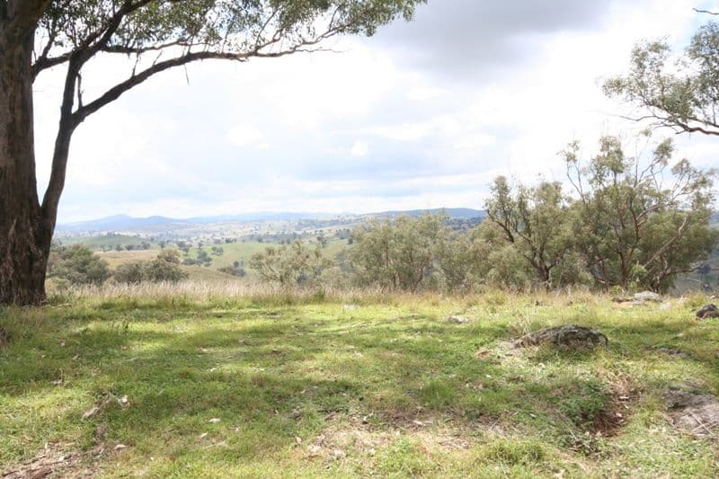 176 Wiannamatta Road, CANOWINDRA NSW 2804, Canowindra - Thumbnail 3