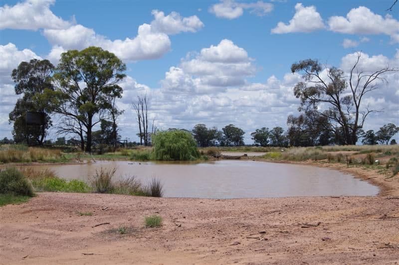 Marylands Wargin Road, WEST WYALONG NSW 2671, West Wyalong - Thumbnail 5