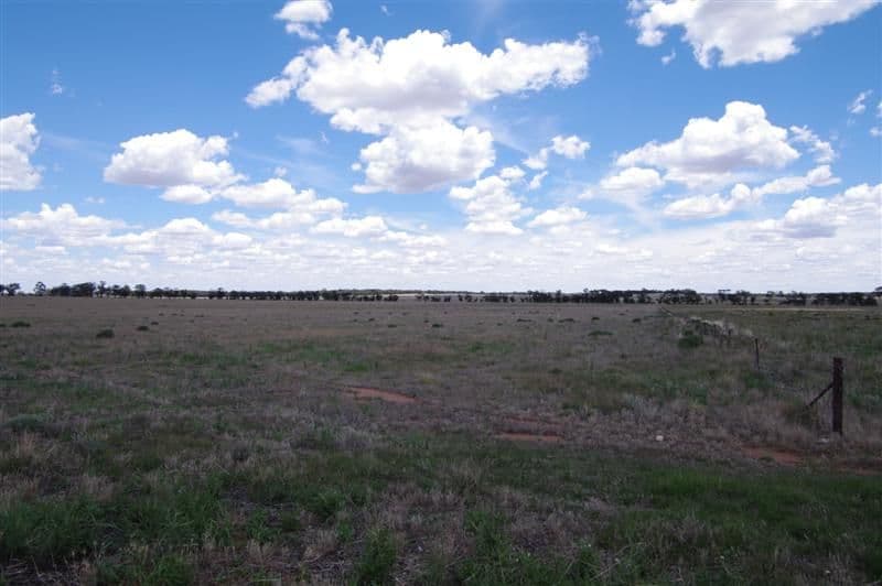 Marylands Wargin Road, WEST WYALONG NSW 2671, West Wyalong - Thumbnail 6