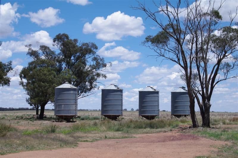 Marylands Wargin Road, WEST WYALONG NSW 2671, West Wyalong - Thumbnail 3