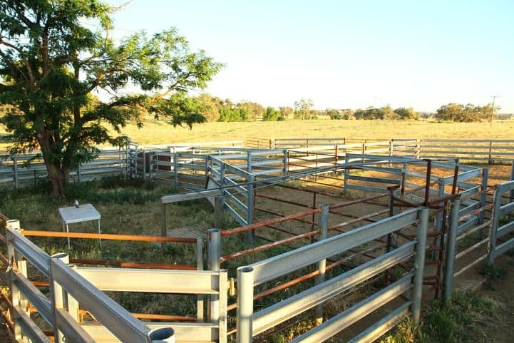 'Ashbury' 150 Old Forbes Road, YOUNG NSW 2594, Young - Thumbnail 5