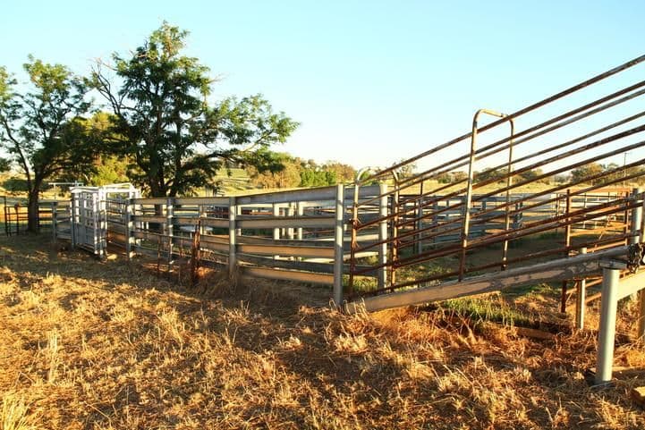 'Ashbury' 150 Old Forbes Road, YOUNG NSW 2594, Young - Thumbnail 4