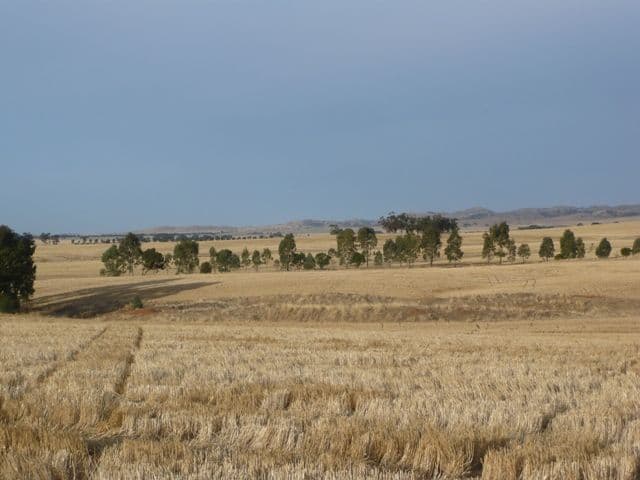 . "Donara", MOUNT BRYAN SA 5418, Mount Bryan - Image 1