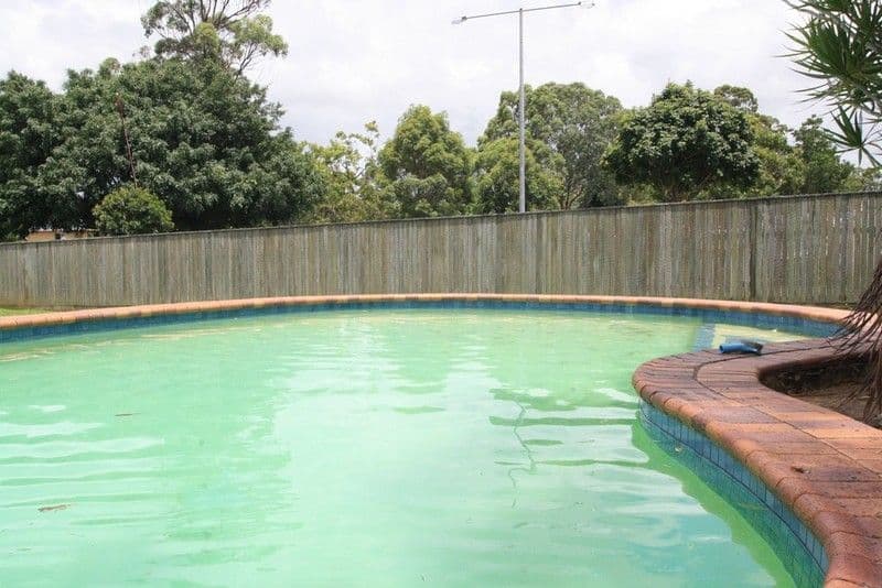 150 Chatswood Road, DAISY HILL QLD 4127, Daisy Hill - Thumbnail 4
