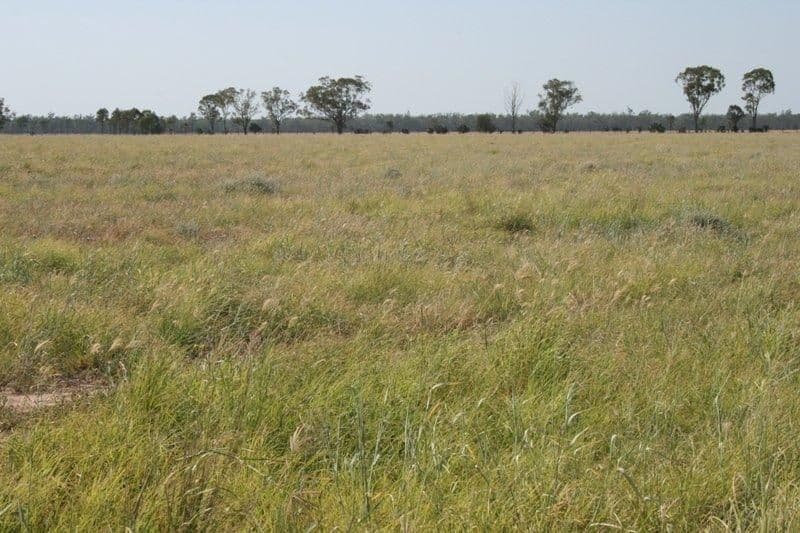 3892 Kildonan Road, GOONDIWINDI QLD 4390, Goondiwindi - Thumbnail 3
