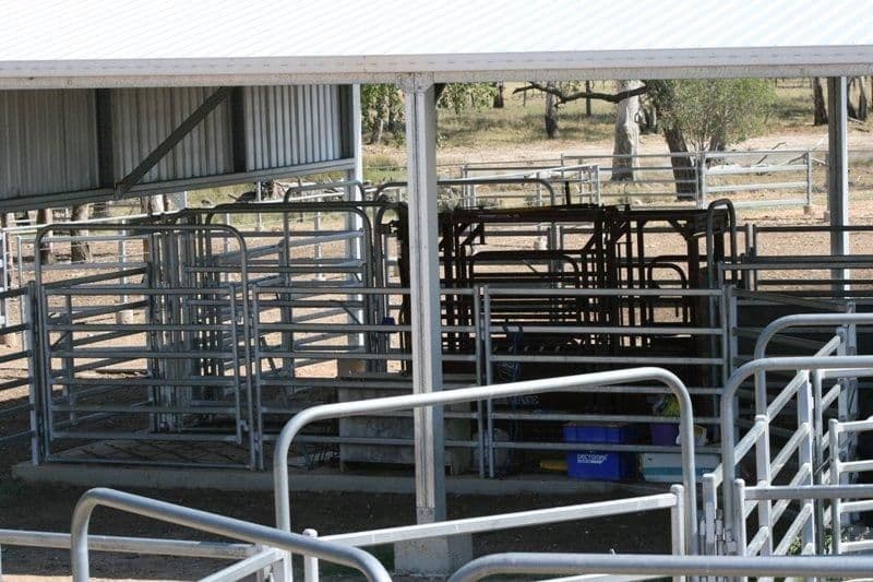 3892 Kildonan Road, GOONDIWINDI QLD 4390, Goondiwindi - Thumbnail 7