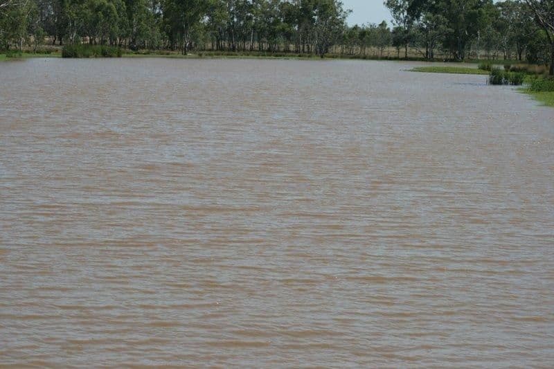 3892 Kildonan Road, GOONDIWINDI QLD 4390, Goondiwindi - Thumbnail 4