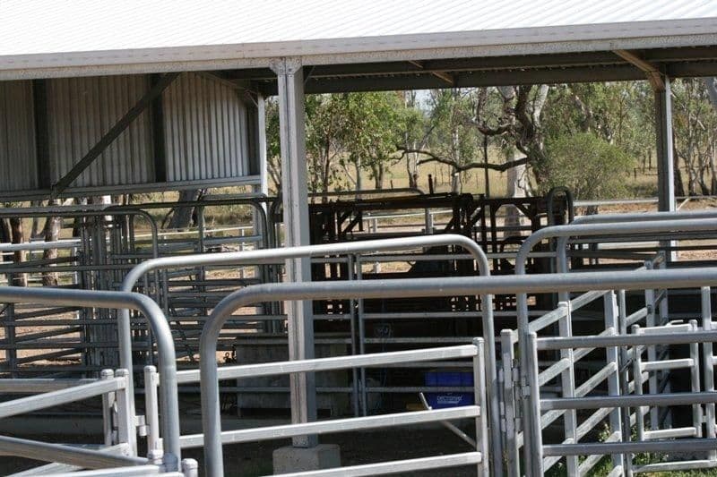 3892 Kildonan Road, GOONDIWINDI QLD 4390, Goondiwindi - Thumbnail 5
