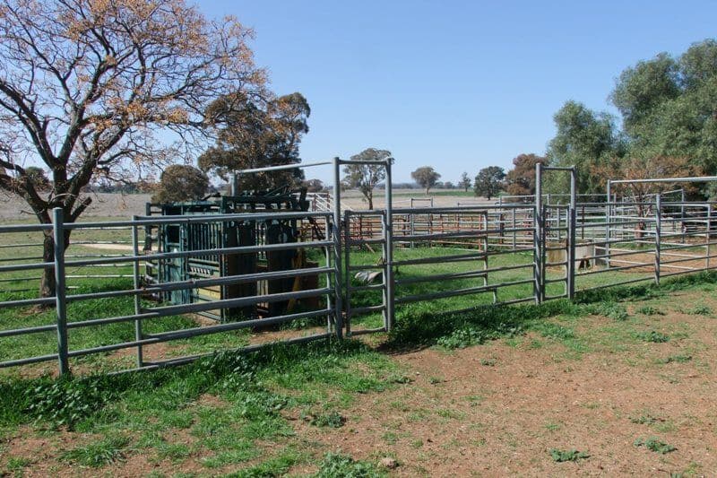 1455 Euchareena Road, MOLONG NSW 2866, Molong - Thumbnail 6