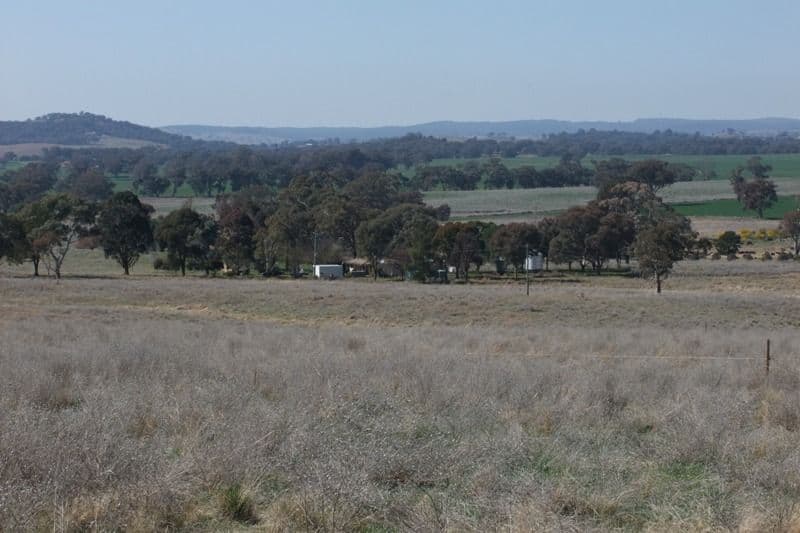 1455 Euchareena Road, MOLONG NSW 2866, Molong - Thumbnail 4
